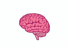 The Neurological Foundations of Behaviour Support: Understanding Neuroplasticity and Why Early, Sensitive Intervention MattersWhy Progress Is Often Happening Long Before We Can See It
