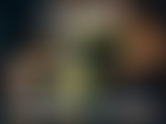 Becoming a Reflective Professional: The Habit That Changes Everything