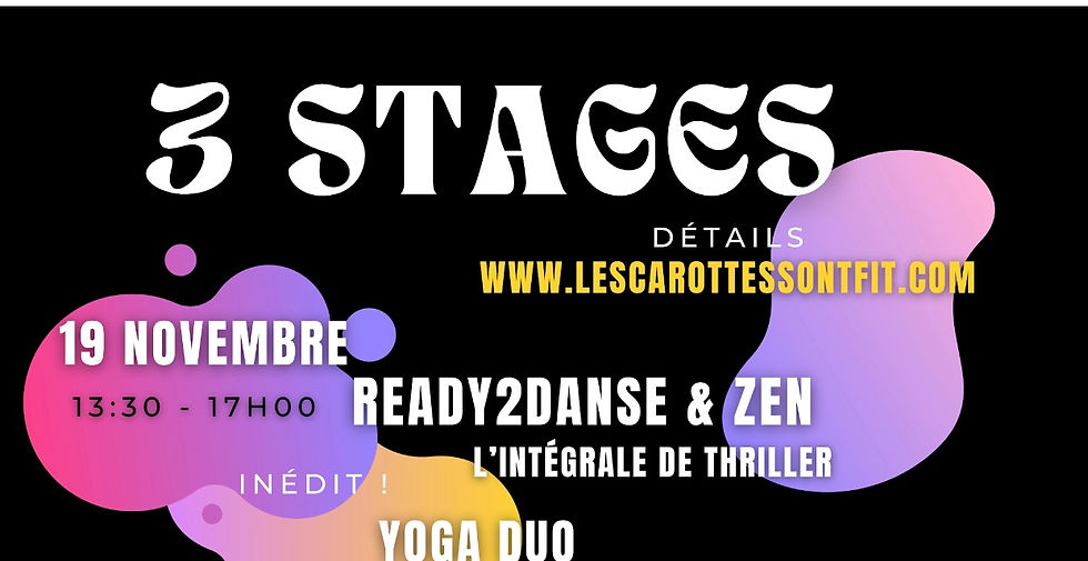 OFFRE Flash 30e au lieu de 82e pour les 3 STAGES ! comprend 19/11- 03/12 et 10/12