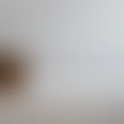 【サンゲツ】『エクセレクト』カタログを追加！日本の伝統や自然を独特の感性で表現！『SHITSURAHI』シリーズがtruss(トラス)新規追加