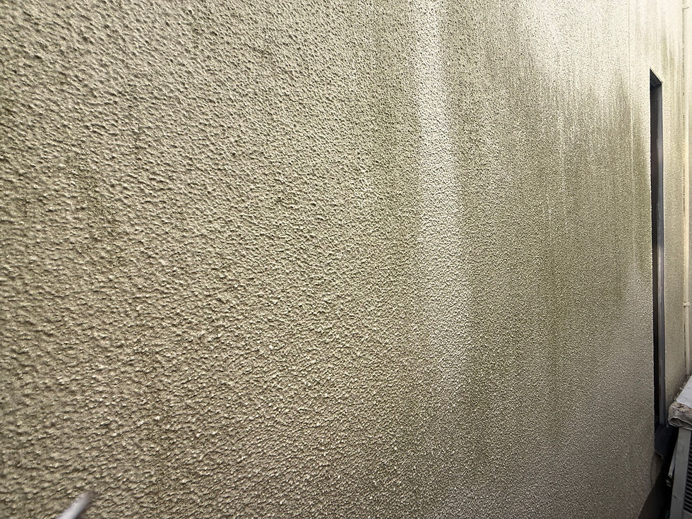 外壁塗装の劣化症状の苔やカビが発生している川西市の住宅