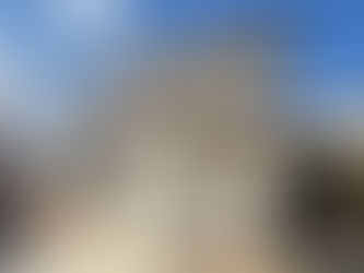 川西市・宝塚市の外壁塗装で人気の色ベージュ系の川西市の住宅