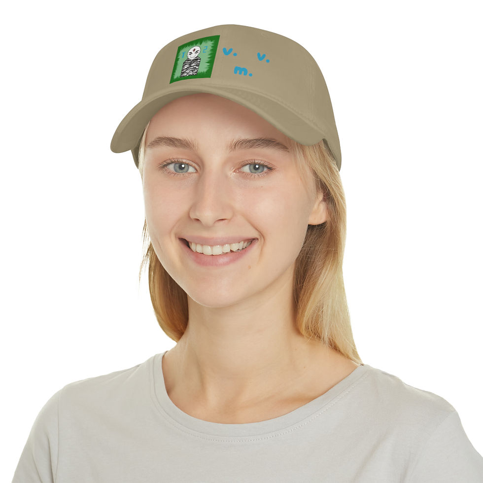 Thumbnail: take2 Low Profile Baseball Cap