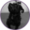 MUTLEY 2