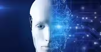 Incorp.AI - Transforming Business with AI Innovation