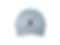 2026 Silver Anniversary Hat