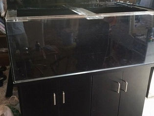 水槽ちょっとたまりすぎた。