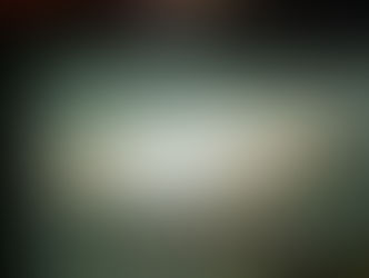 プラチナアルビノシルバー