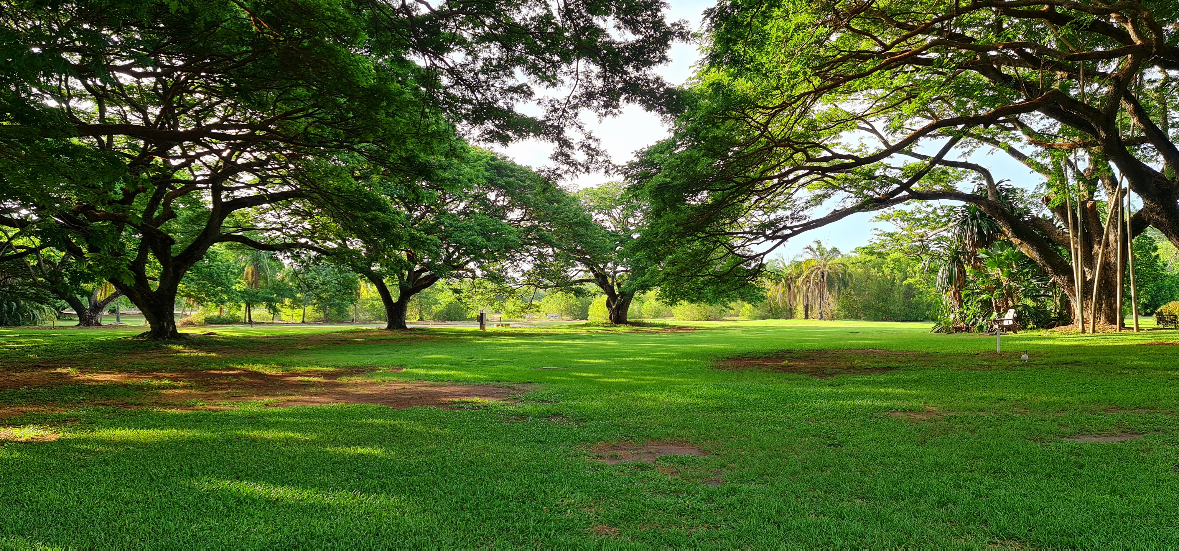 Darwin Botanic Gardens Catering Co.