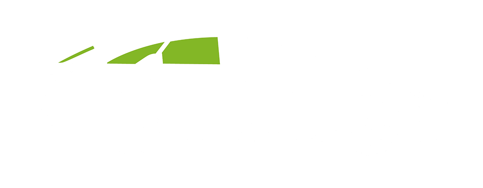 Fahrzeugkonturen_Scheibentönung-1.png