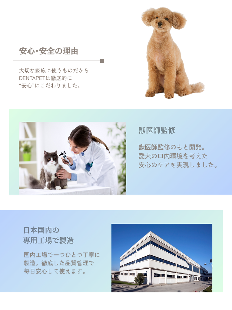 WIX 実装 PC (1920 x 3700 px) (27)_edited.png