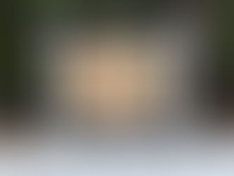 Cape Henlopen State Park Restaurant nixed