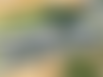 Atlantic Fields rezoning unanimously denied by county council