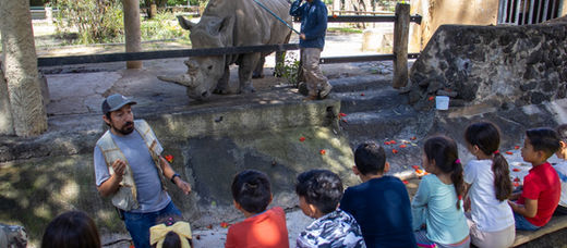 *Zoológico de Morelia invita a Un Día en el Aula Viva*