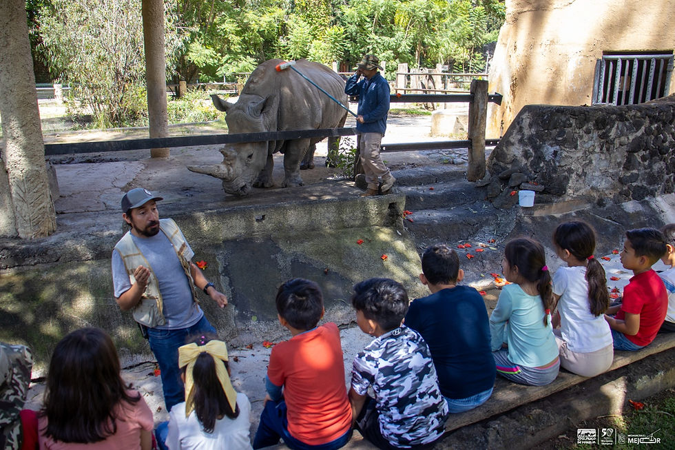 *Zoológico de Morelia invita a Un Día en el Aula Viva*
