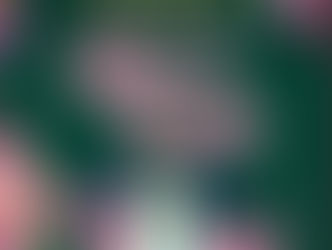 Penjamillo te espera para celebrar las fiestas del Pino y la Flor 2024