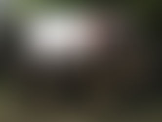 Se capacita personal del Ceconexpo para brindar un mejor servicio