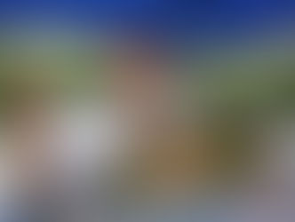 Este fin de semana invita SEFECO al 2º Festival Familiar