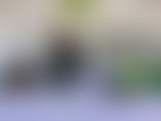 Conforma Partido Verde Michoacán equipo electoral rumbo al 2 de junio
