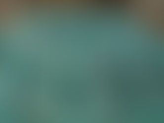 IMCUFIDE ABRE INSCRIPCIONES PARA ALBERCA SEMIOLÍMPICA MORELOS-INDECO