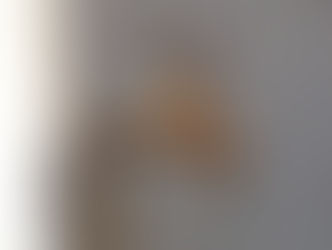 RECOMIENDA OOAPAS REVISAR INSTALACIONES PARA EVITAR FUGAS DE AGUA