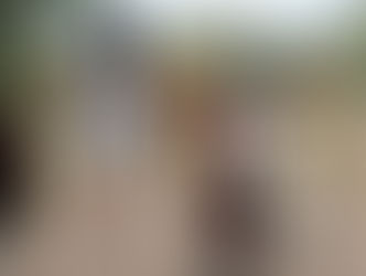 *El amor se vive en el ZooMorelia; cásate el 14 de febrero en el parque*