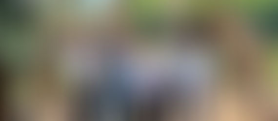 *Disfruta un verano de aventura en el Zoológico de Morelia*