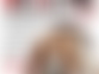 🐶✨ Sin ruido, más amor: la urgente necesidad de decir NO a la pirotecnia