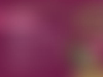 *Fomenta Bienestar el autoempleo en mujeres en los 113 municipios de Michoacán*