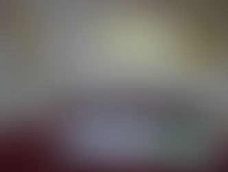 Formará Zoo ejército infantil de “Guardianes de la naturaleza”