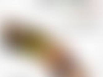 Michoacán exhibirá su grandeza turística en CDMX