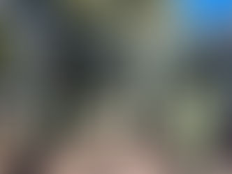 *Mañana inicia en Ceconexpo la exposición "La Gran Fuerza de México”*