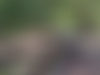 Casi lista la remodelación de los Cenadores de Santa María