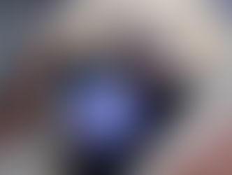 Invita Gobierno Municipal a inscribir a perros y gatos en el primer Registro Público de Morelia