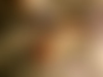 Venenosa y mortal; cobra bandeada, nueva integrante del Zoo de Morelia