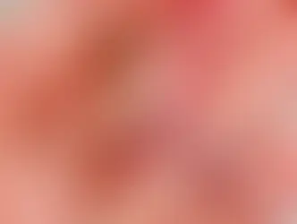 ✅ El bastón de caramelo navideño y los mitos acerca de su origen