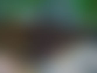 Zoológico de Morelia avanza en la conservación del achoque michoacano