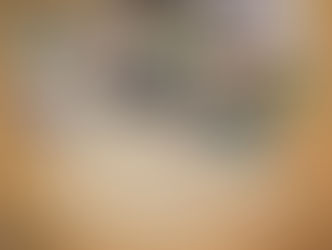 Convoca Zoológico de Morelia a rescatar 50 años de historia