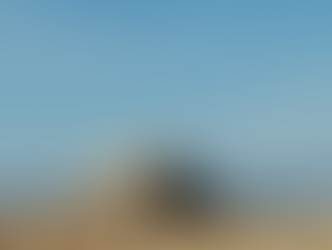 2a Reunión Internacional sobre Tortugas Marinas del Pacifico Oriental Tropical: reto de la conservac