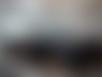 Equipo de traductores se reúnen para llevar “Lectura Científica” a pueblos originarios