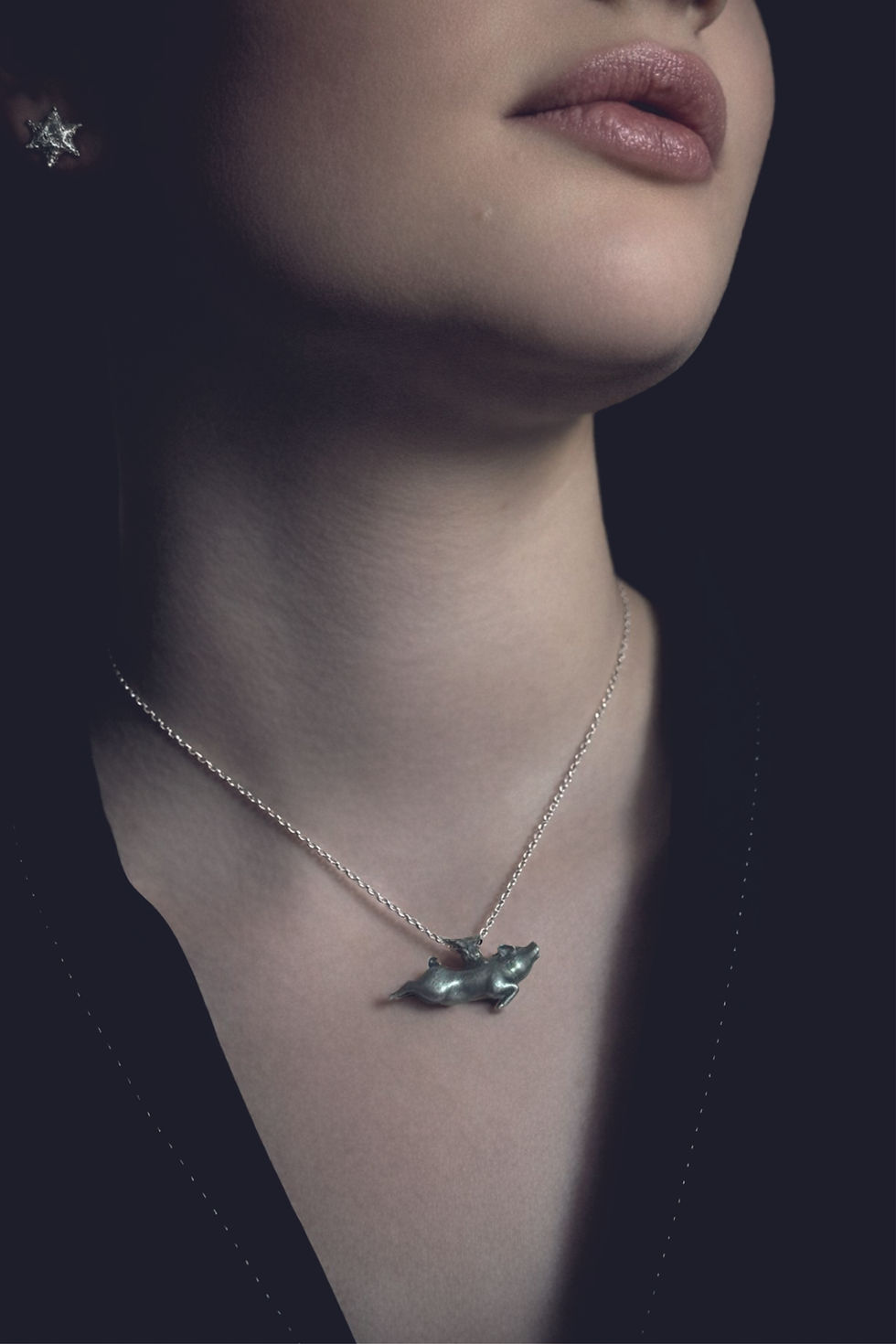 Thumbnail: Flying Pig