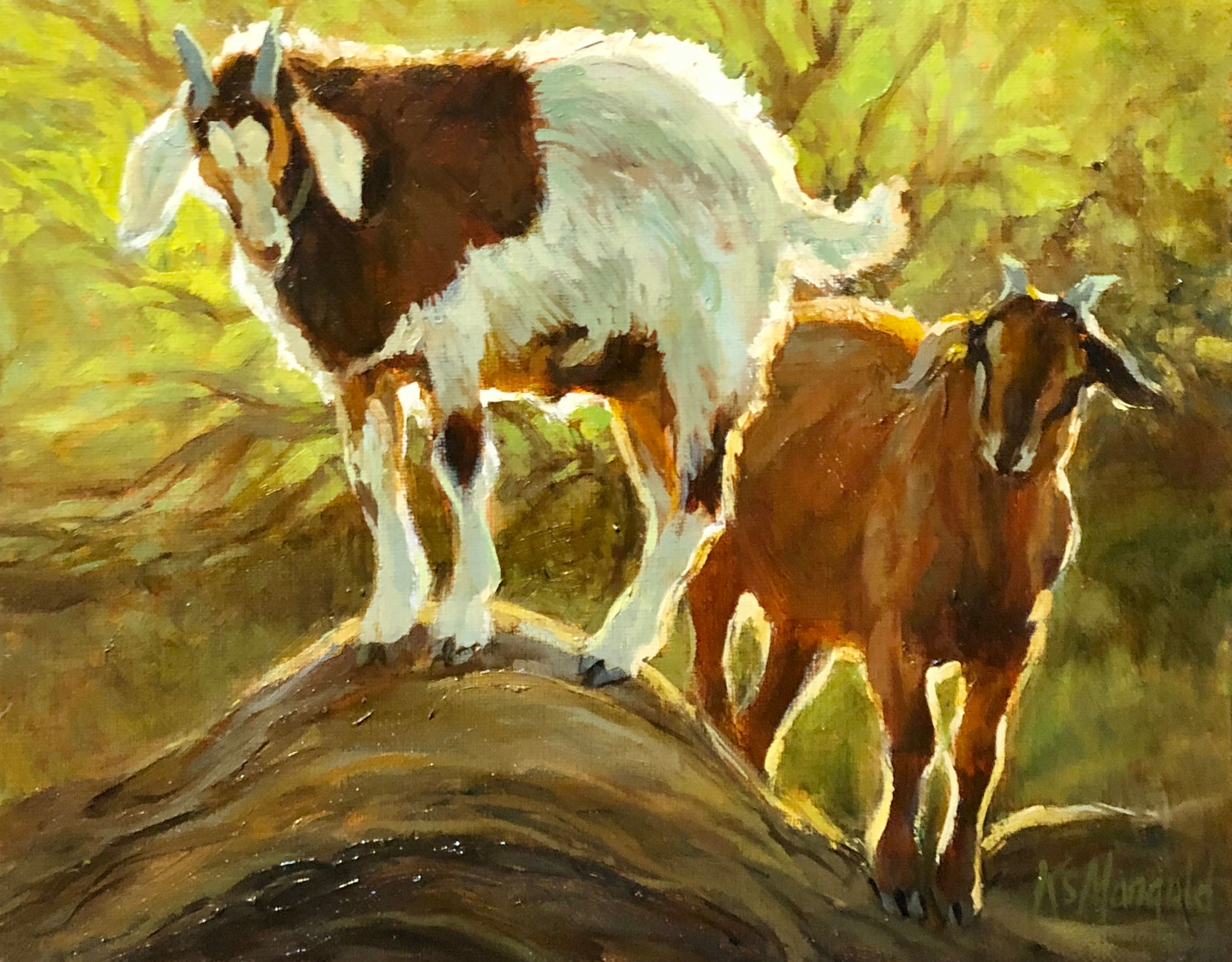 Double Trouble Goats