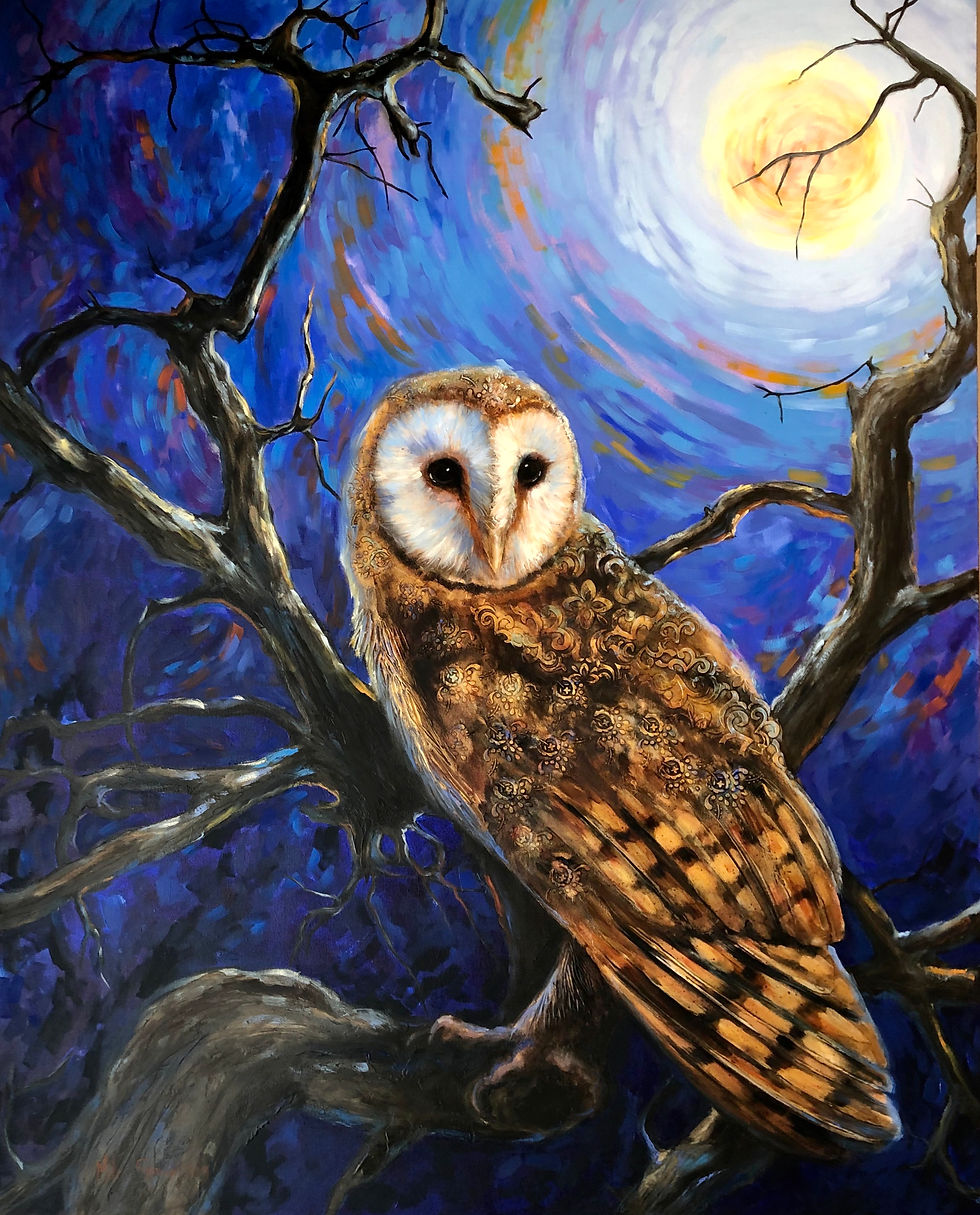 Barn Owl