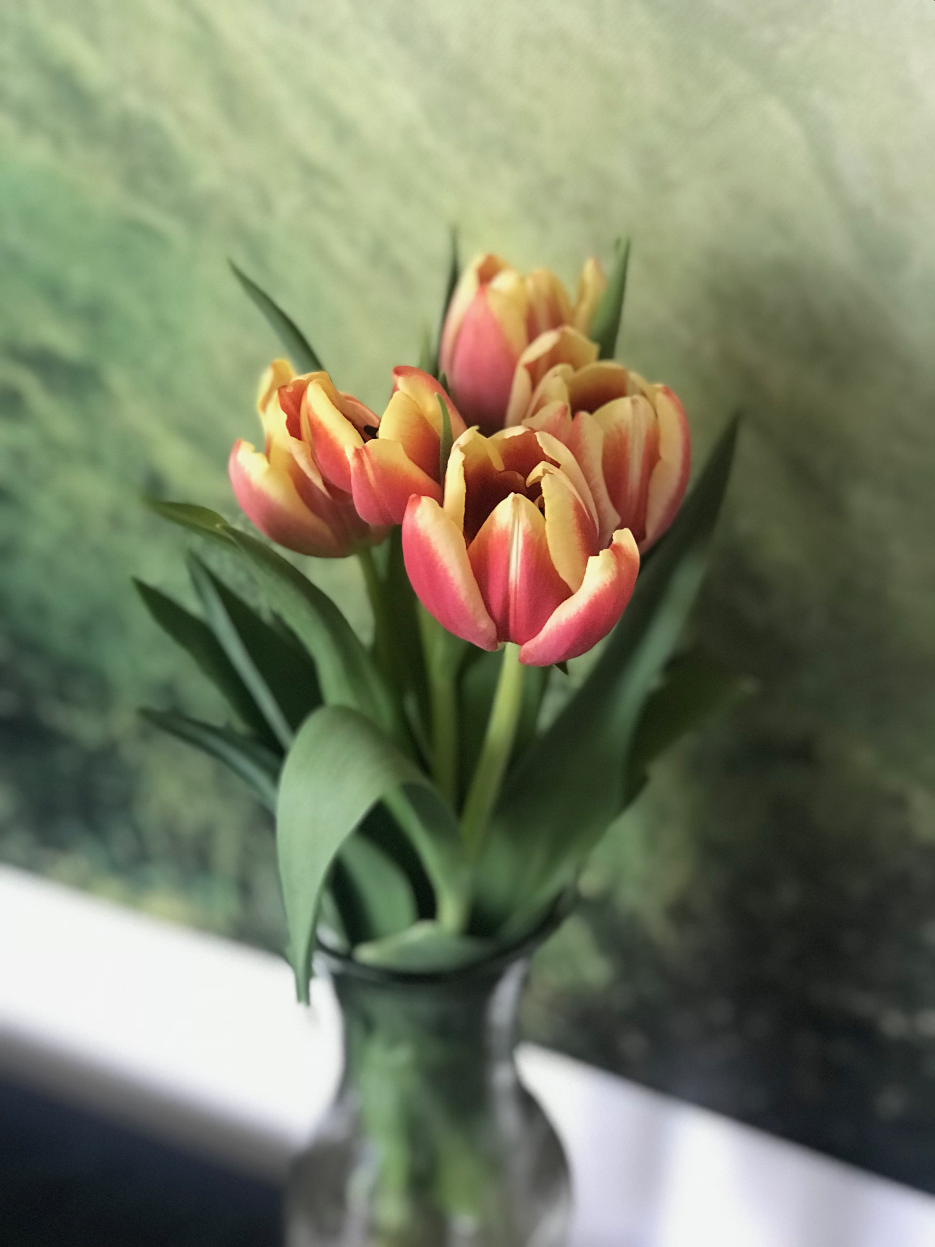 Writer: Maribel Castillo Stikeleather