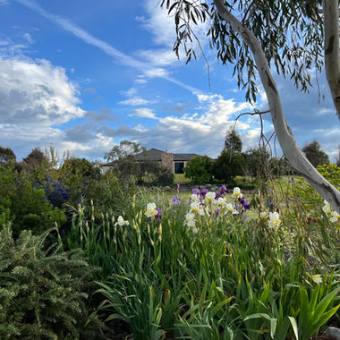 Spring garden