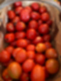 IMG_9985.jpeg