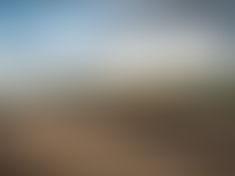 In Defence of the Bubble