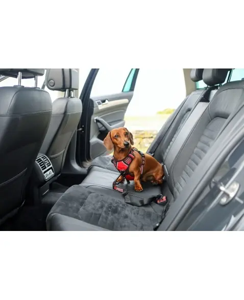 Miniatura: Cinto de Segurança Carro Para Cães Kong Travel