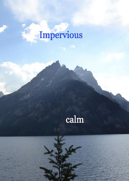 Screen Shot 2022-03-12 at 12.46.51 AM.png