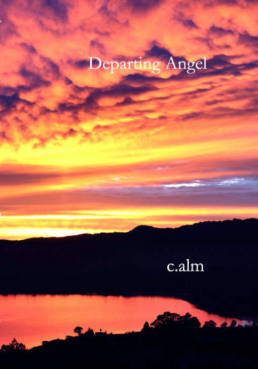 Departing Angel